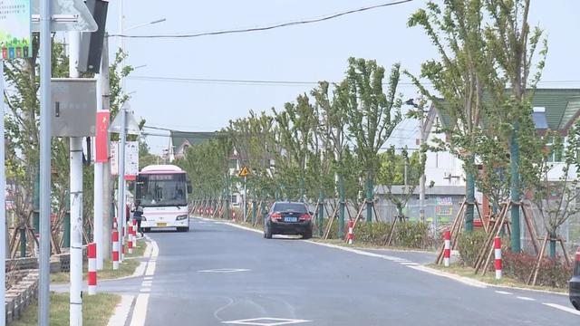 关于金山铁路、公交线路、停车难、网约车等热点问题，金山区交通委权威回应来了→