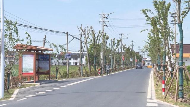 关于金山铁路、公交线路、停车难、网约车等热点问题，金山区交通委权威回应来了→