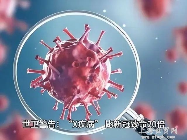 新冠或是首个X疾病